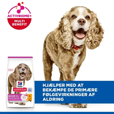 Hill's Science Plan Senior 11+ Small & Mini med kylling - 1,5 kg