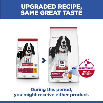 Hill’s Science Plan Adult 1-6 Medium with Chicken