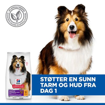 Hill's Science Plan Sensitive Stomach & Skin Adult 1 + Medium med kylling