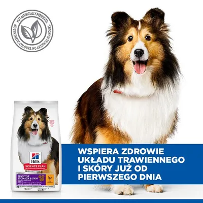 Hill's Science Plan Sensitive Stomach & Skin Adult 1+ Medium, kurczak - 14 kg