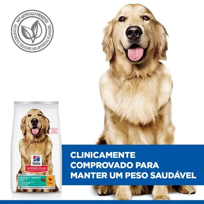Hill's Science Plan Adult 1+ Perfect Weight Large com frango - 12 kg