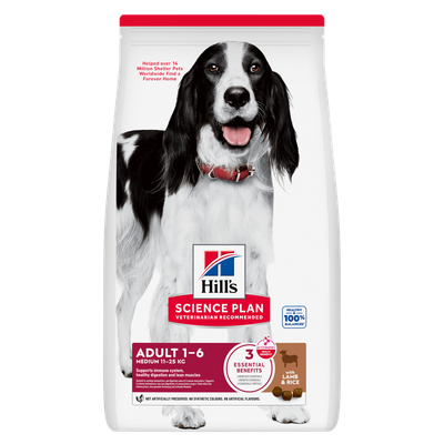 Hill's Science Plan Adult 1-6 Medium 11-25 kg lampaanlihalla & riisillä, tukee immuunijärjestelmää, tervettä ruoansulatusta ja lihaksia. 3 keskeistä hyötyä. Aikuisille koirille.