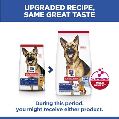 Hill’s Science Plan Mature Adult 6+ Large with Chicken