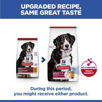 Hill's Science Plan Adult 1-6 Large s piletinom