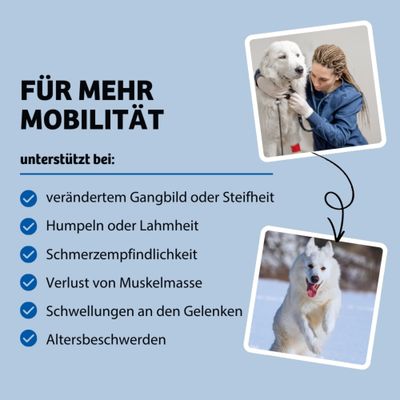 Für mehr Mobilität. Unterstützt bei verändertem Gangbild, Humpeln, Schmerzempfindlichkeit, Muskelverlust, Gelenkschwellungen und Altersbeschwerden.