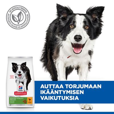 Hill's Science Plan Senior Vitality koiranruoka, Huomautus: ei keinotekoisia säilöntäaineita, värejä tai aromeja. Teksti: Auttaa torjumaan ikääntymisen vaikutuksia.