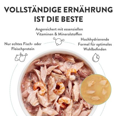 Schesir Complete Nutrition Filet in Brühe 6 x 50 g in Dosen