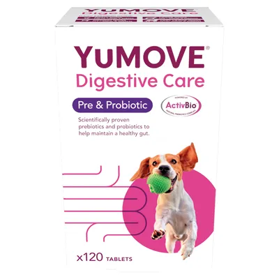 YuMOVE Digestive Care Pre- & Probiotic Hund - 120 Tabletten
