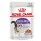 Lot de sachets fraîcheur Royal Canin 48 x 85 g pour chat Sterilised in Gelee