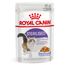 Royal Canin Sterilised umido in Gelatina per gatti 12 x 85 g