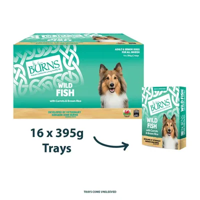 Burns Wild Fish с моркови и кафяв ориз, за възрастни и по-възрастни кучета от всички породи. Опаковка: 16 x 395g купички. Разработено от ветеринаря John Burns.