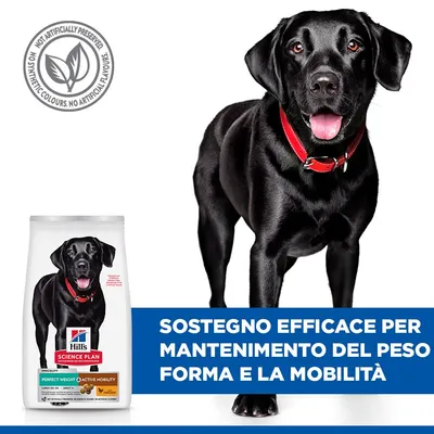 Hill's Science Plan Perfect Weight & Active Mobility Adult 1+ Large Pollo - 12 kg