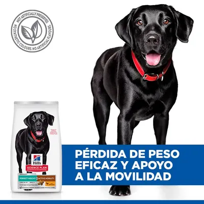 Hill's Science Plan Adult Perfect Weight & Active Mobility Large pollo - 12 kg