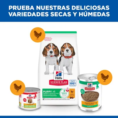 Hill's Sicence Plan Puppy <1 - con pollo (24 x 370 g)