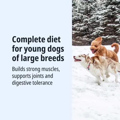 Complete food for young dogs of large breeds. Promotes strong muscles, supports joints and digestive tolerance.