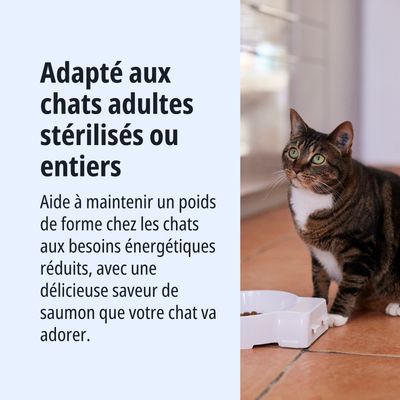 Pour les chats adultes, stérilisés ou non stérilisés. Aide à maintenir le poids idéal en cas de besoins énergétiques réduits, avec une délicieuse saveur de saumon.
