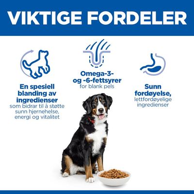 Hill's Science Plan Senior Vitality Mature Adult 6+ Large med kylling