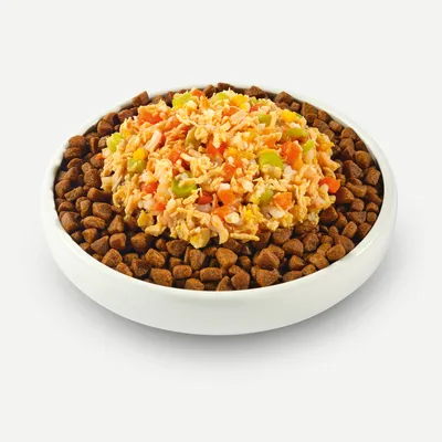 Applaws Puppy Taste Toppers i buljong 6 x 156 g