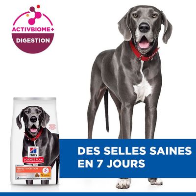 Hill's Science Plan Perfect Digestion Adult Large avec poulet et riz complet