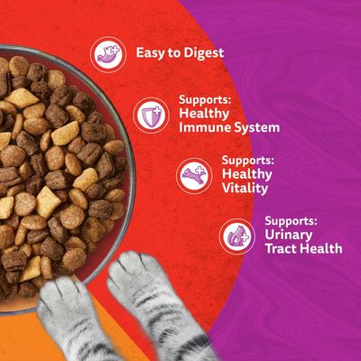 Whiskas Adult 1+ Duo Meaty Combos with Lamb & Turkey - Economy Pack: 2 x 1.9kg