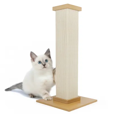 Canadian Cat Company Kenny Kenny Κορμός Ξυσίματος - μπεζ