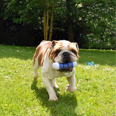 Bobby Jouet pour chien Cubitus - corail : L 14,5 x l 6,9 x H 4,3 cm