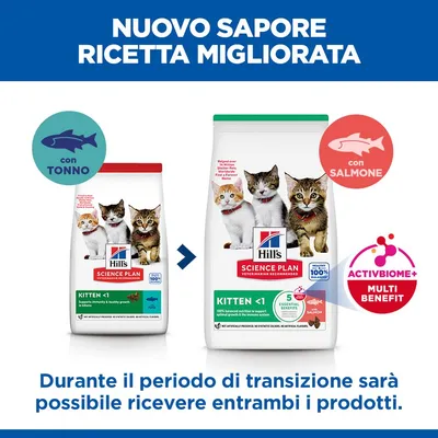 Hill's Science Plan Kitten <1 Salmone - Set %: 2 x 7 kg