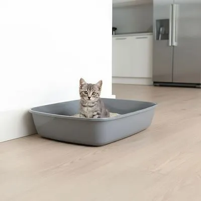 Savic kattenbak Iriz zonder rand, 42 cm - grijs