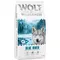 Wolf of Wilderness Adult "Blue River" Somon - fără cereale 12 kg rețetă nouă