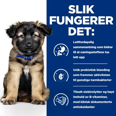 Hill's Prescription Diet i/d Digestive Care Puppy med kylling