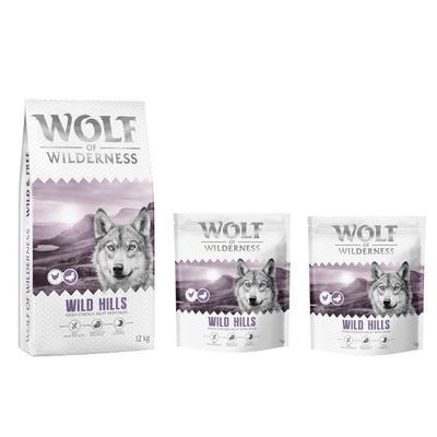 Wolf of Wilderness Logo. Hund springt über moosbedeckte Felsen in einem Wald.