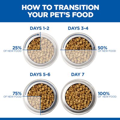 Switching food: Days 1–2, 25% new food; Days 3–4, 50%; Days 5–6, 75%; Day 7, 100% new food.
