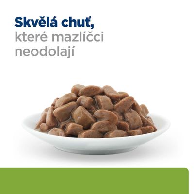 Miska s masovými kousky v omáčce, Text: Skvělá chuť, které mazlíčci neodolají.