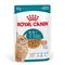 Royal Canin Ageing 11+ in Soße 12 x 85 g