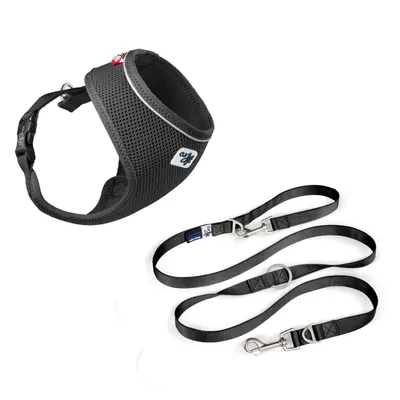 Set Curli : Harnais Air-Mesh Basic & Laisse pour chien, noir - harnais taille L + laisse taille L : 200 cm de long, 20 mm de large Set Curli : Harnais Air-Mesh Basic & Laisse pour chien, noir - harnais taille L + laisse taille L : 200 cm de long, 20 mm de large