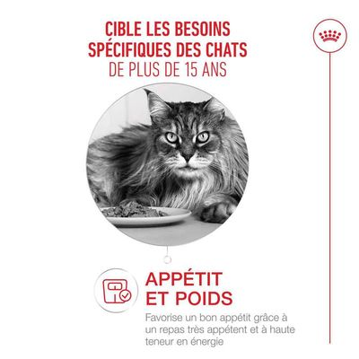 Royal Canin Ageing 15+