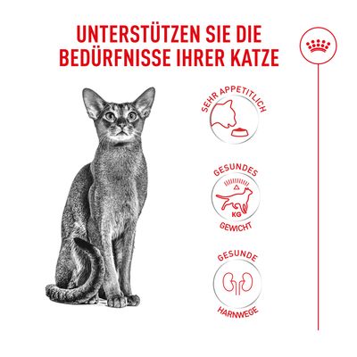 Royal Canin Fussy Exigent