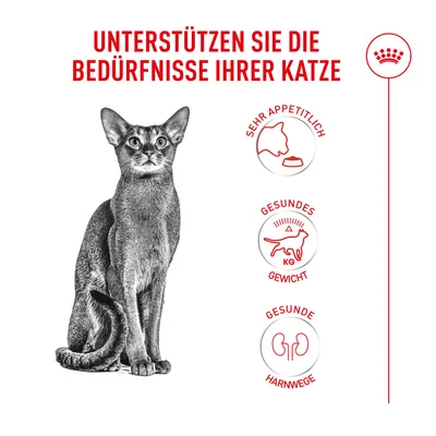 Royal Canin Fussy Exigent - 10 kg