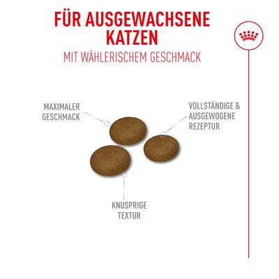 Royal Canin Fussy Exigent - 10 + 2 kg gratis!