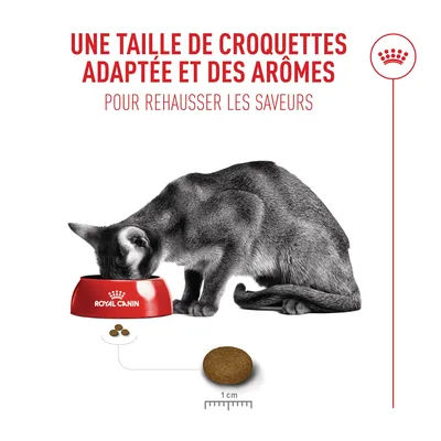 Royal Canin Fussy Exigent - 10 + 2 kg offerts !