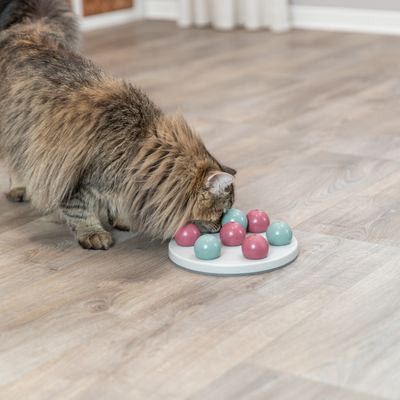 Trixie Cat Activity Strategy Game Solitaire