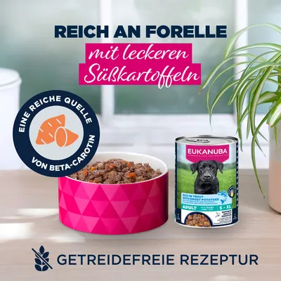 Eukanuba Adult Reich an Forelle mit Süßkartoffeln Eukanuba Adult Reich an Forelle mit Süßkartoffeln
