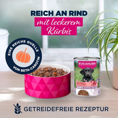 Eukanuba Puppy Reich an Rind mit Kürbis