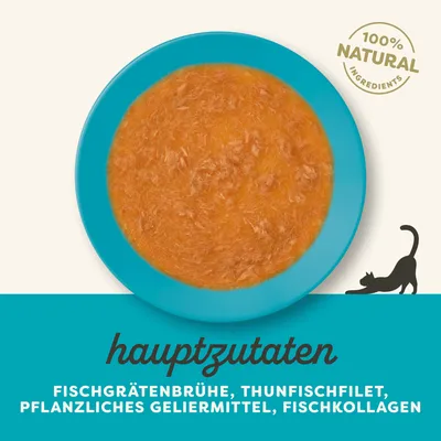 Applaws Bone Broth -säästöpakkaus 24 x 85 g  - lohi