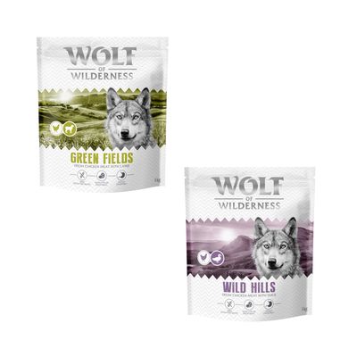 Logo Wolf of Wilderness. Pies skacze przez porośnięte mchem skały w lesie.