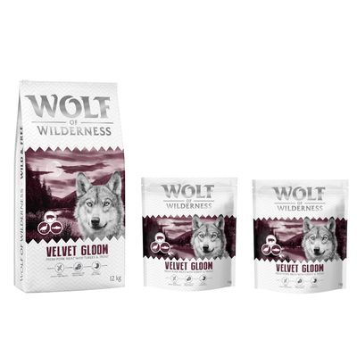 Wolf of Wilderness Logo. Hund springt über moosbedeckte Felsen in einem Wald.