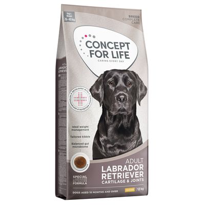 Concept for Life Labrador Retriever Adult NUEVO: 12 kg