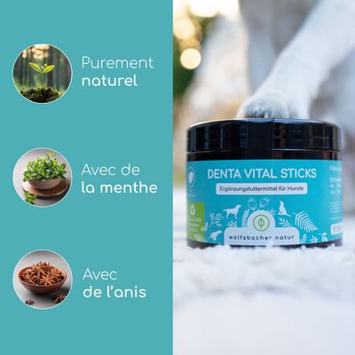 Denta Vital Sticks aliment complémentaire pour chiens de Wolfsbacher Natur, purement naturel, avec de la menthe, avec de l’anis.