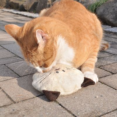 Aumüller poduszka do zabawy dla kota Baldi Willy