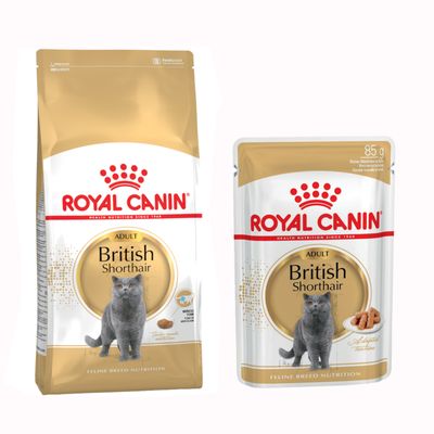 Royal Canin Regular Sensible 33 Trockenfutter und Digest Sensitive Nassfutter für Katzen. Angebot mit Prozentzeichen sichtbar.